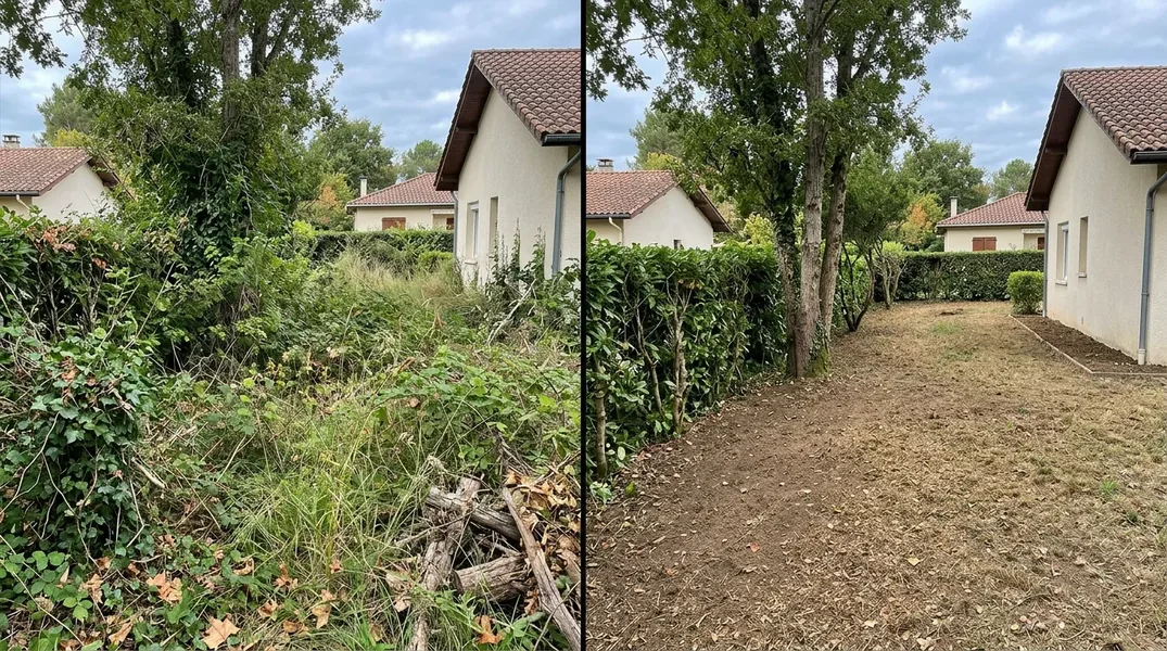 Résultat élagage en Gironde — Elagage Pessac